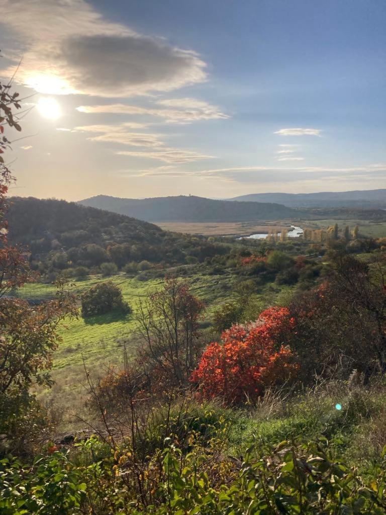 Babamuzeum Apartman Tihany Exteriér fotografie